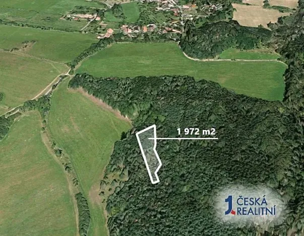 Prodej podílu lesa, Švihov, 220 m2