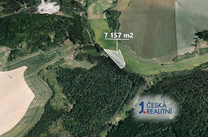 Prodej podílu lesa, Velká Bíteš, 1431 m2