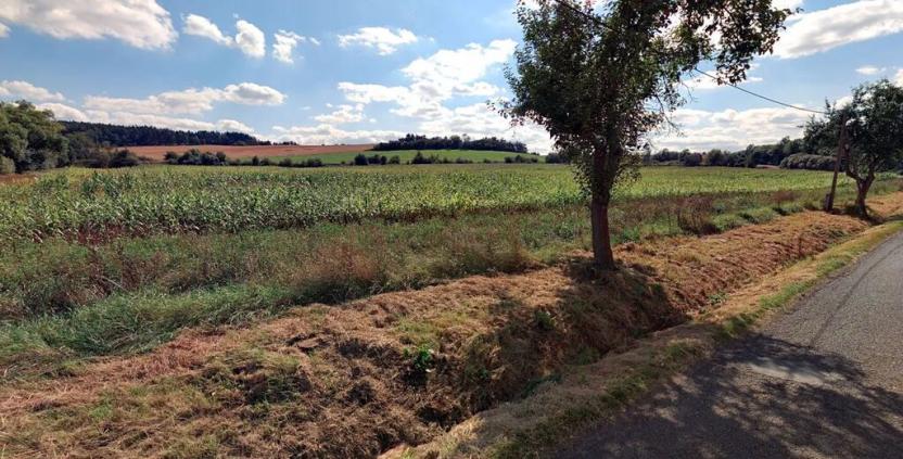 Dražba pole, Velečín, 26965 m2