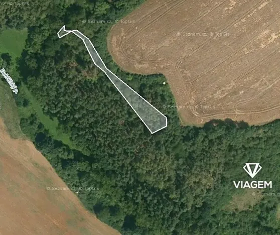 Prodej lesa, Kaceřov, 1208 m2