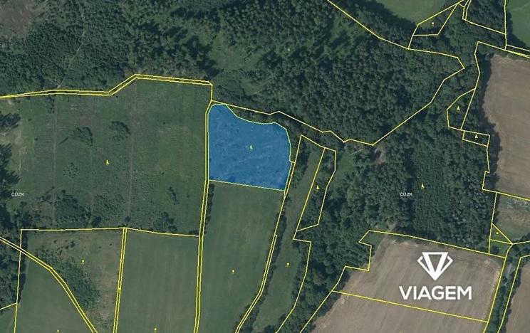 Prodej lesa, Mohelnice, 9122 m2