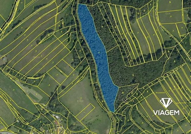 Prodej podílu lesa, Vranová Lhota, 1741 m2