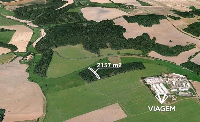 Prodej podílu lesa, Koloveč, 629 m2