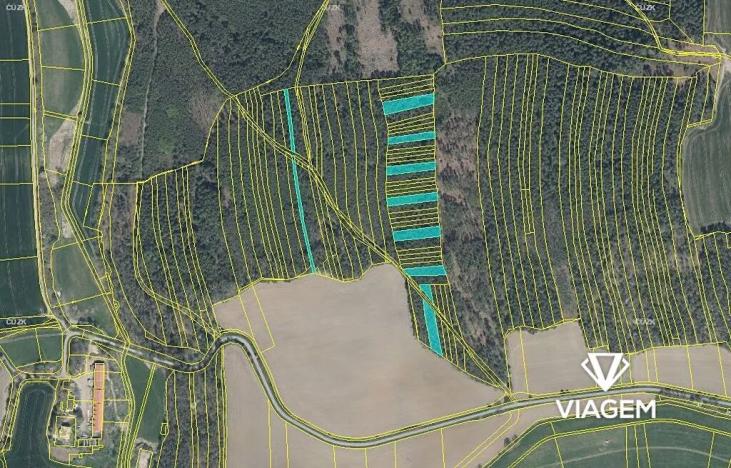 Prodej podílu lesa, Koloveč, 2599 m2