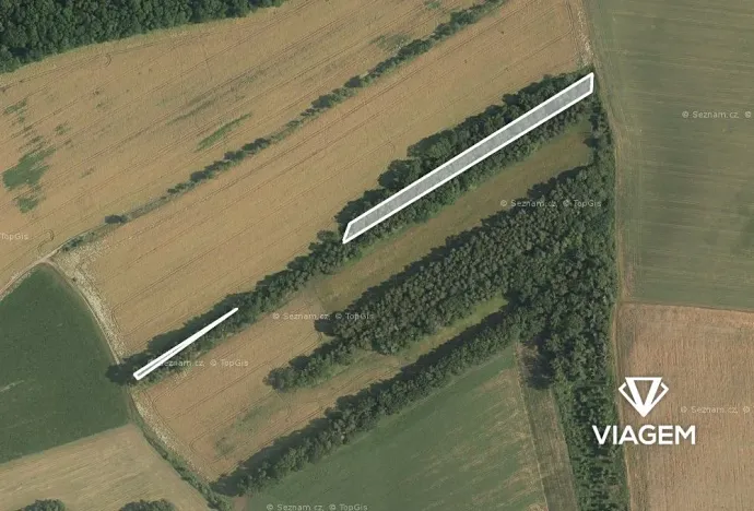 Prodej podílu lesa, Vlčnov, 1782 m2