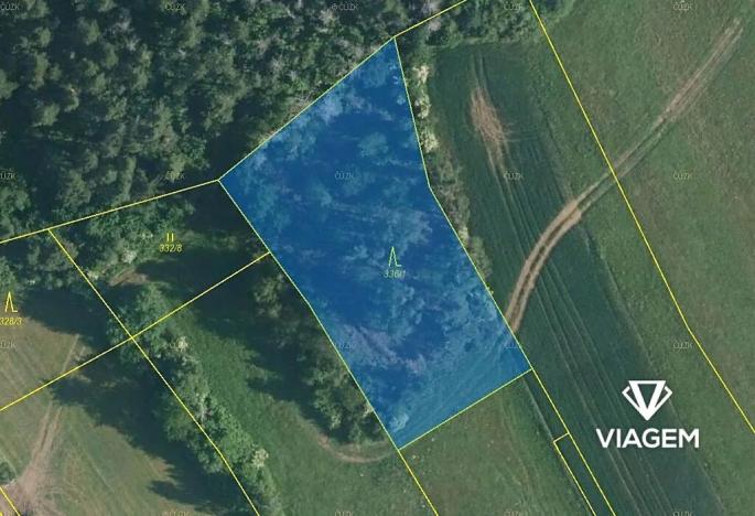 Prodej podílu lesa, Kuřimská Nová Ves, 1166 m2