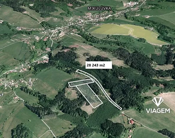 Prodej lesa, Mikulůvka, 28243 m2
