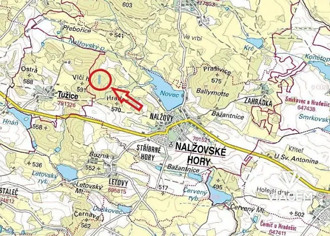 Prodej lesa, Nalžovské Hory, 6708 m2