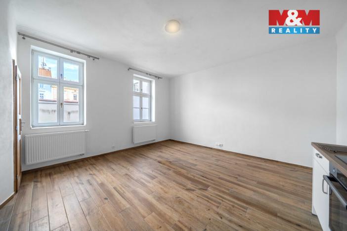 Pronájem bytu 1+kk, Plzeň - Východní Předměstí, 24 m2