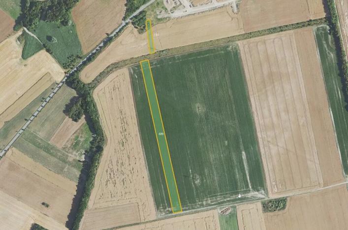 Prodej pole, Dolany, 41267 m2