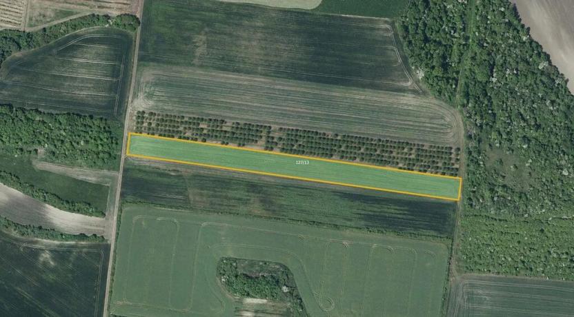 Prodej sadu/vinice, Želkovice, 8289 m2