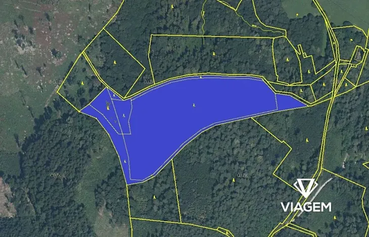 Prodej podílu lesa, Trojanovice, 11168 m2
