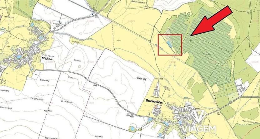 Prodej lesa, Borkovice, 3561 m2