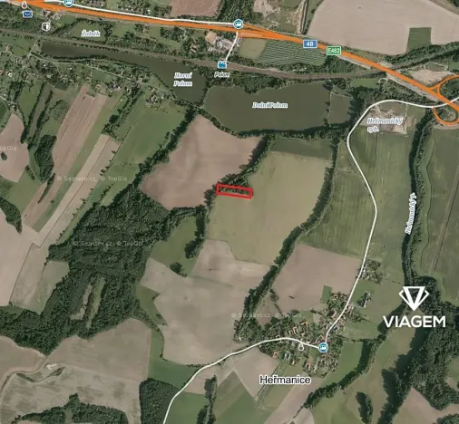 Prodej lesa, Starý Jičín, 4723 m2