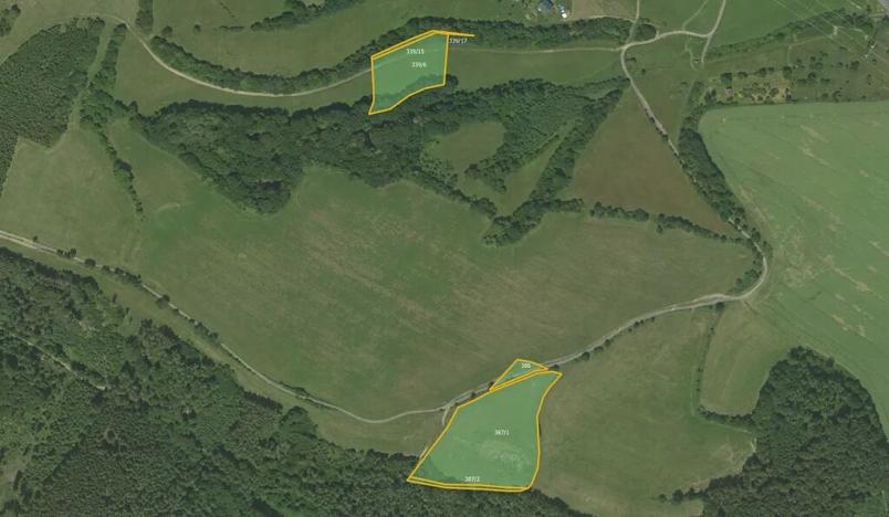 Prodej louky, Vranová Lhota, 20714 m2