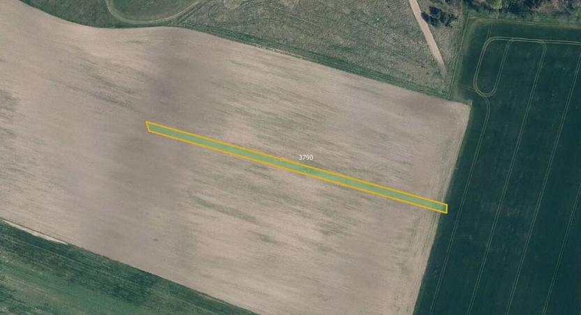 Prodej louky, Ledčice, 11616 m2