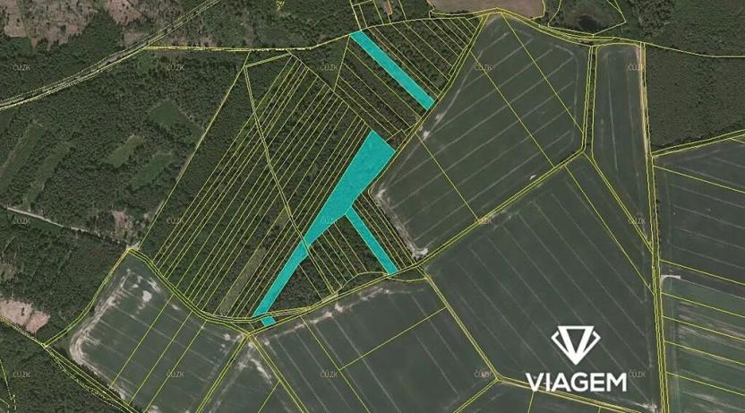 Prodej podílu lesa, Komárov, 8639 m2