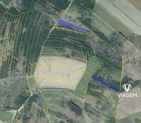 Prodej podílu lesa, Věžnice, 469 m2
