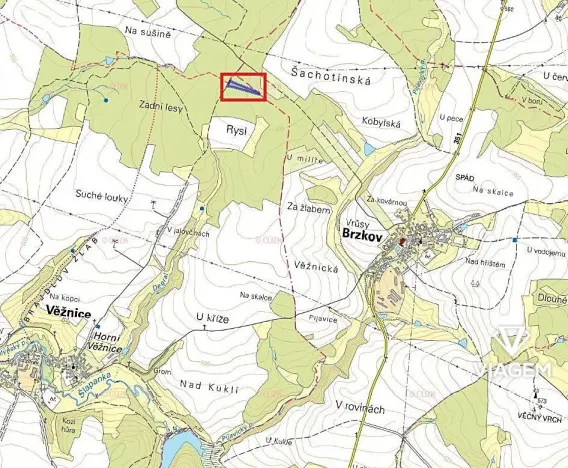 Prodej podílu lesa, Věžnice, 469 m2