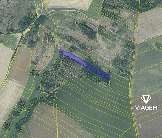Prodej podílu lesa, Věžnice, 448 m2