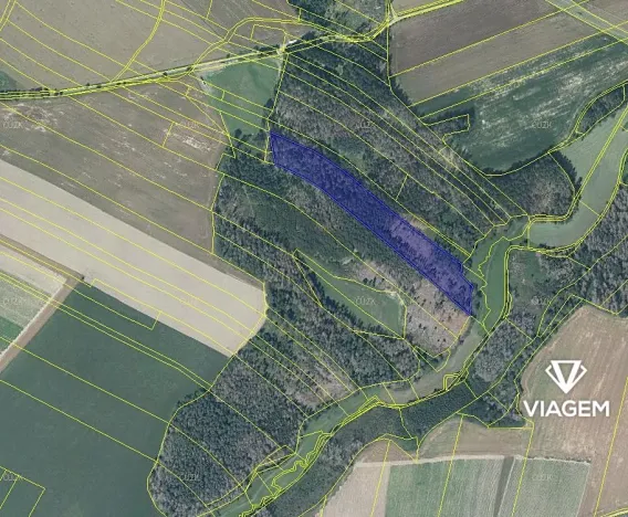 Prodej podílu lesa, Věžnice, 921 m2