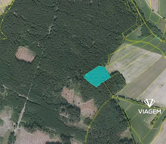 Prodej podílu lesa, Buková, 821 m2