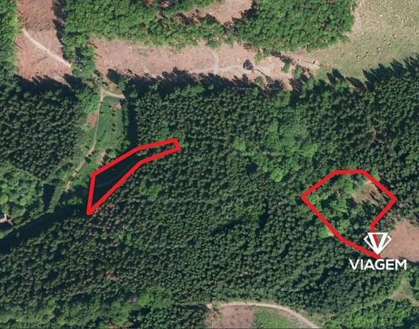 Prodej podílu lesa, Růžďka, 26737 m2