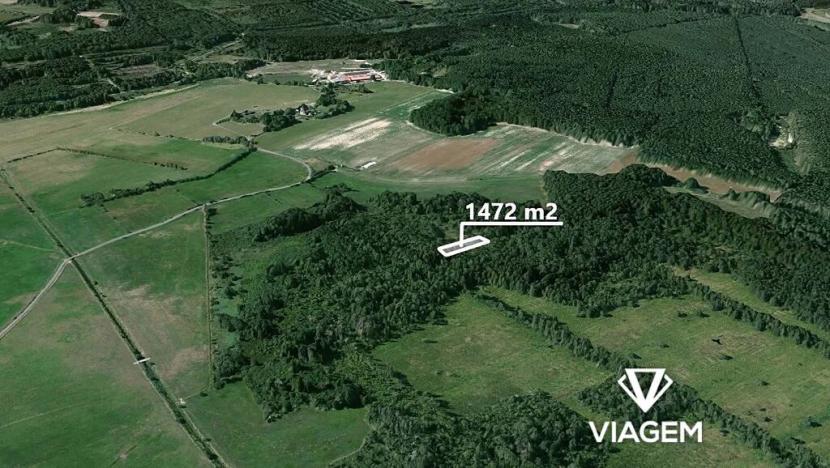 Prodej lesa, Borkovice, 1472 m2