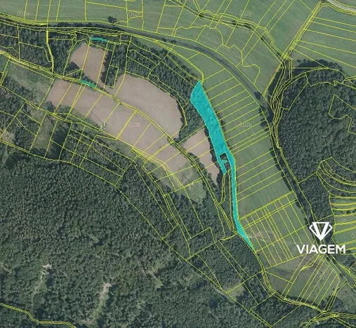 Prodej podílu lesa, Vranová Lhota, 4729 m2