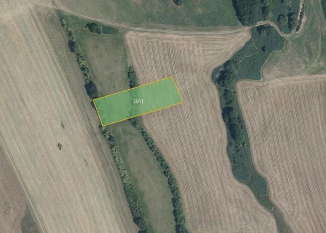 Prodej louky, Nový Malín, 5653 m2