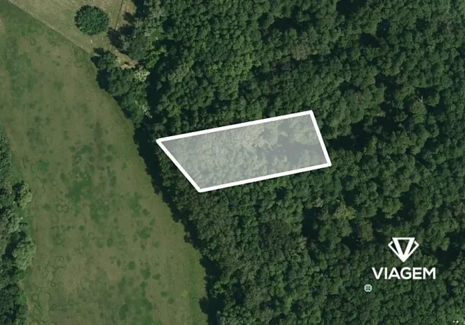 Prodej podílu lesa, Brno, 582 m2