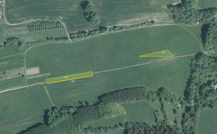 Prodej louky, Študlov, 2798 m2