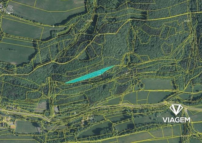 Prodej podílu lesa, Bratřejov, 3636 m2