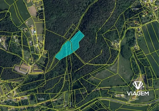 Prodej podílu lesa, Mírová pod Kozákovem, 4616 m2