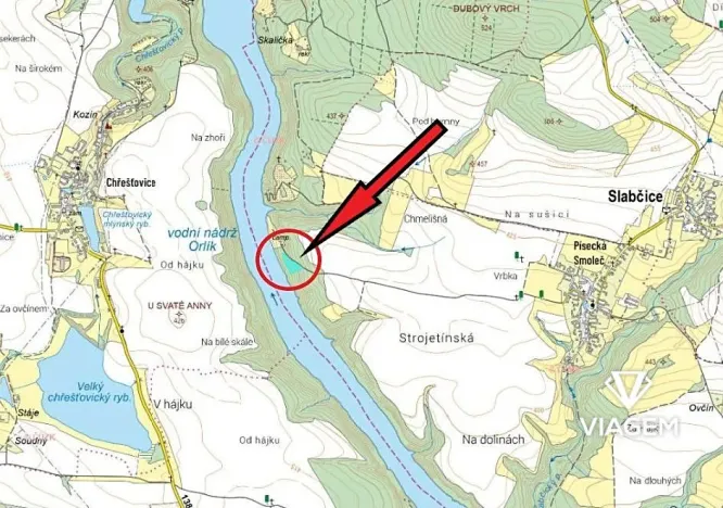 Prodej lesa, Slabčice, 6018 m2