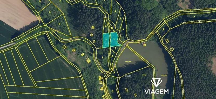 Prodej lesa, Mladějov, 1561 m2