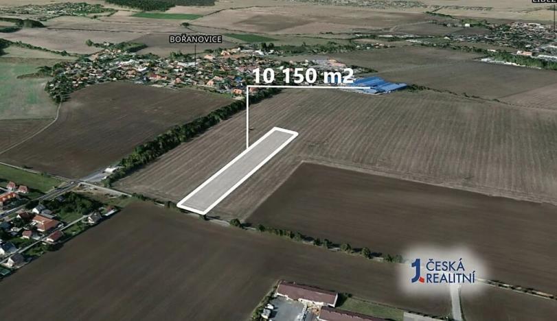 Prodej podílu pole, Bořanovice, 4229 m2