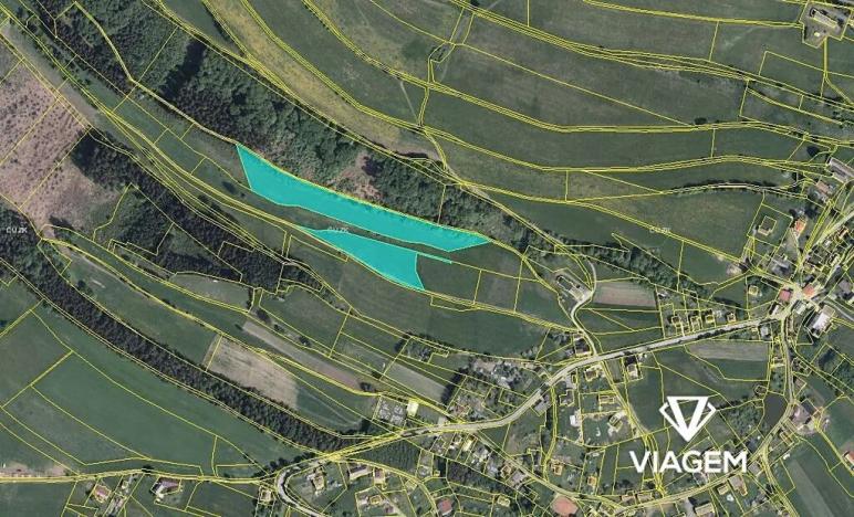 Prodej pole, Vysoká Srbská, 21336 m2