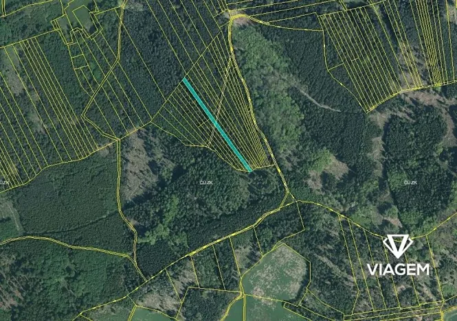 Prodej lesa, Hradiště, 3924 m2