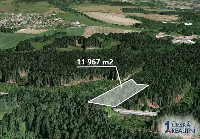 Prodej podílu lesa, Loužnice, 5983 m2