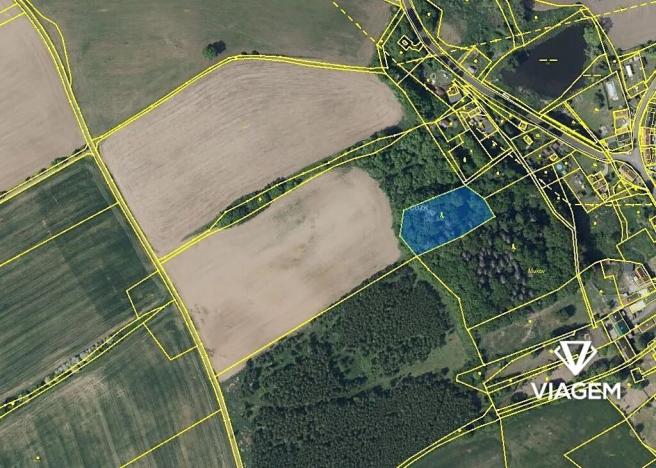 Prodej lesa, Hrobčice, 3018 m2