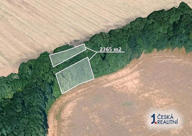 Prodej podílu pole, Mladějov na Moravě, 1655 m2