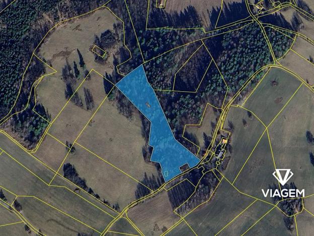 Prodej podílu lesa, Malá Bystřice, 197 m2