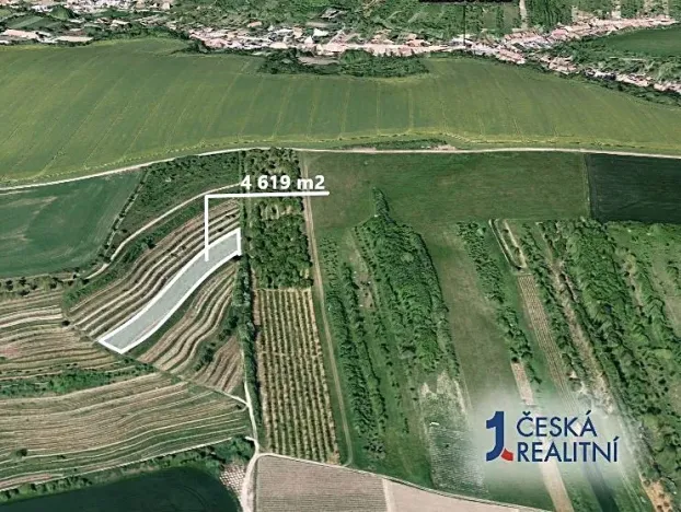 Prodej pole, Lovčičky, 4619 m2