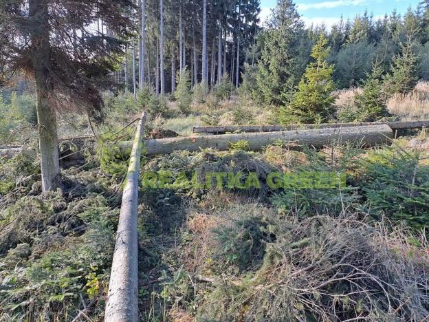 Prodej lesa, Zlín, 152613 m2