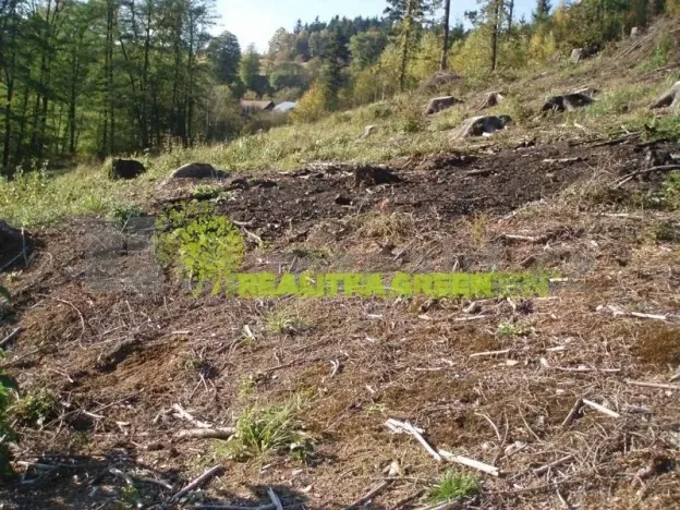 Prodej lesa, Růžďka, 21209 m2