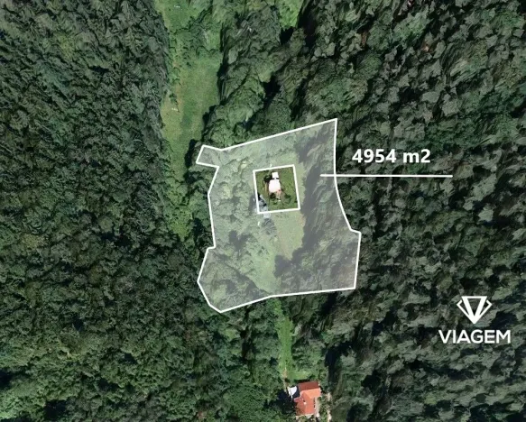 Prodej lesa, Všelibice, 4954 m2
