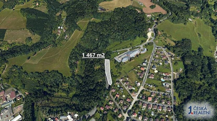 Prodej lesa, Semily, 1467 m2