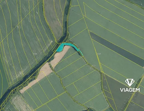 Prodej lesa, Jeseník nad Odrou, 3794 m2