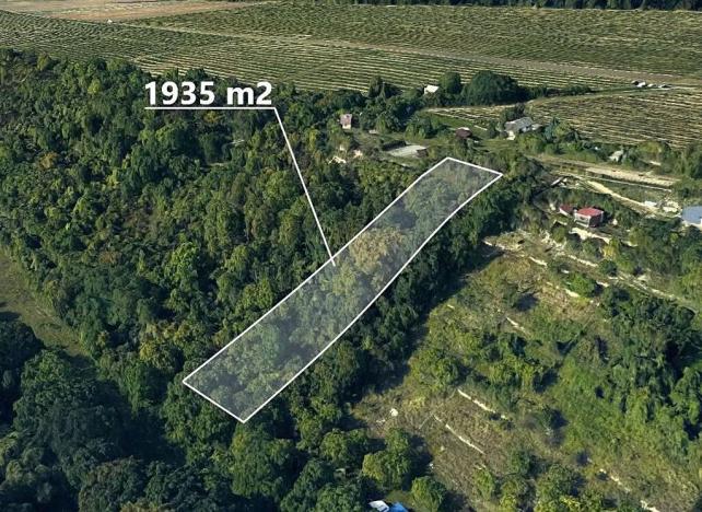 Prodej podílu zahrady, Hoštka, 806 m2